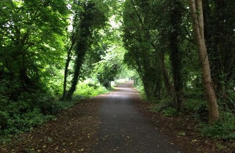 Alban Way