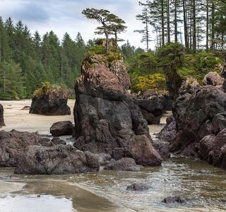 Cape Scott Provincial Park