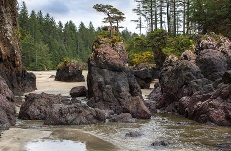 Cape Scott Provincial Park