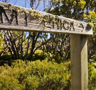 Great Walhalla Alpine Trail