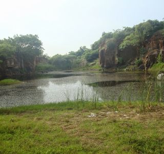 Nanmangalam Reserve Forest