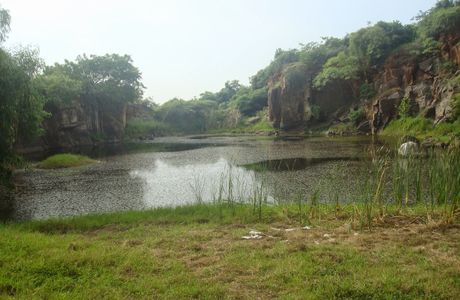 Nanmangalam Reserve Forest