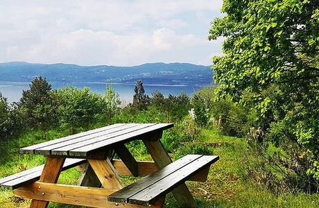 Sakarya Il Ormani Tabiat Parki