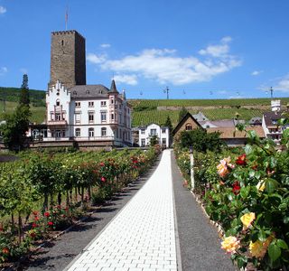 Freibad Asbach Bad Rudesheim