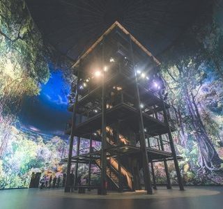 Panorama am Zoo