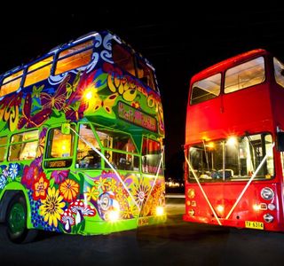 Magic Bus - Byron Bay Sightseeing