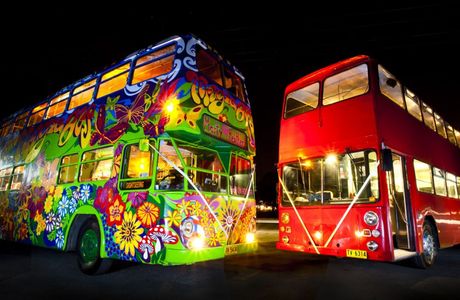 Magic Bus - Byron Bay Sightseeing