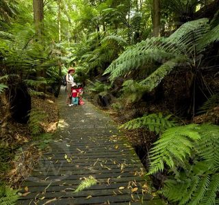 Australian National Botanic Gardens