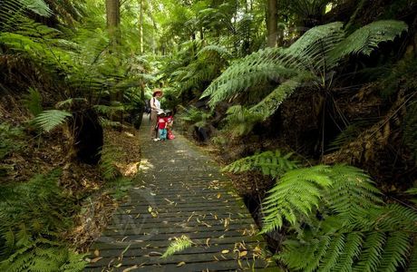 Australian National Botanic Gardens