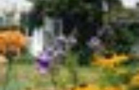 Spring Hill Historic Home