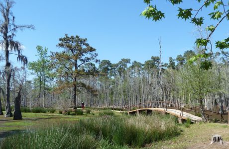 Sam Houston Jones State Park