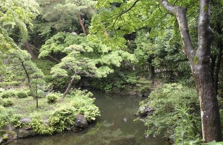 Tonogayato Garden