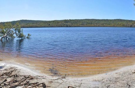 Brown Lake