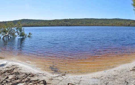 Brown Lake 1