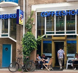 Coffeeshop Bluebird