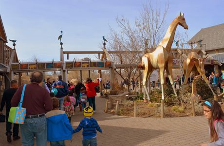 Denver Zoo
