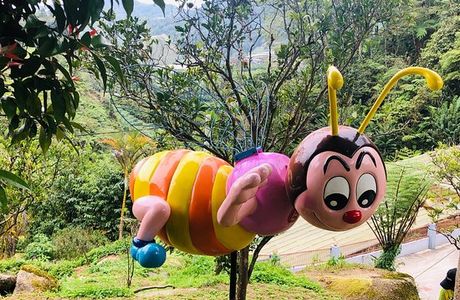 Ee Feng Gu Bee Farm