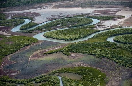 Townsville Town Common Conservation Park