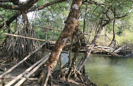 Ujung Kulon National Park