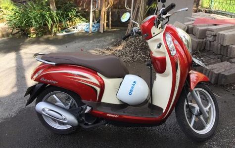 Bali Bike Rental 1