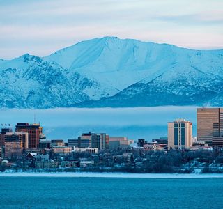 Anchorage Market