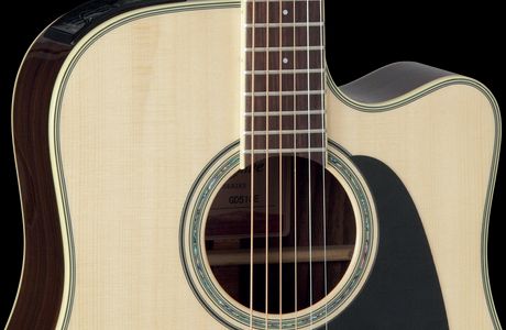 Takamine Lookout