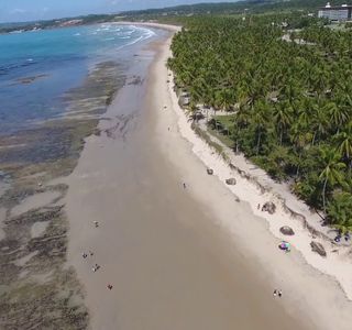 Recife Translado