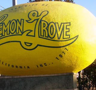 World's Largest Lemon