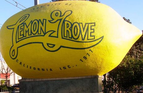 World's Largest Lemon