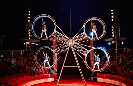 Circus Magic