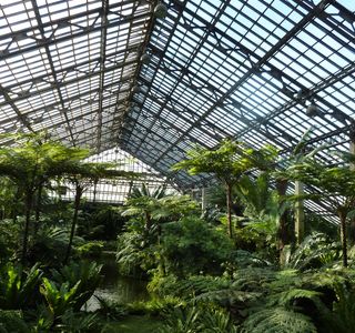 Plant Conservatory