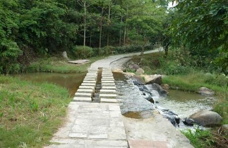 Mt. Tianzhu National Forest Park