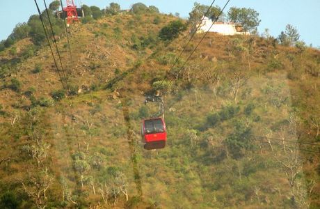 Timber Trail