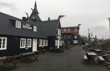 The Viking Village