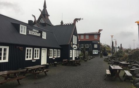 The Viking Village 1