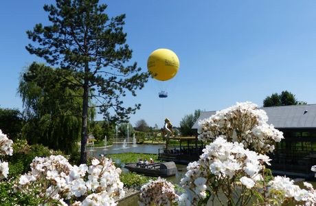 Terra Botanica