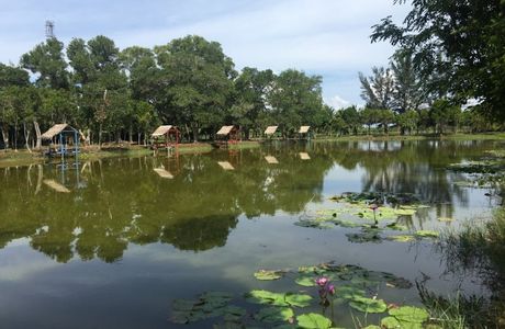 Loagan Bunut National Park