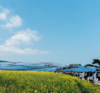 Yukinoura Seaside Park