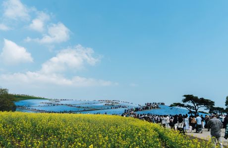 Yukinoura Seaside Park