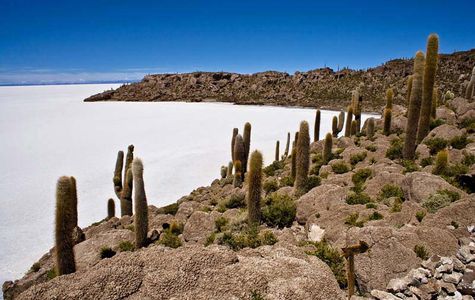 Isla Incahuasi 1