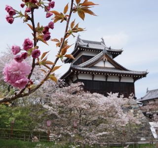 Koriyama Castle