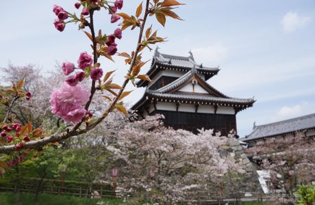 Koriyama Castle