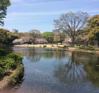Kitanomaru Park