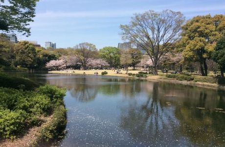 Kitanomaru Park
