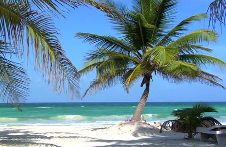 Caribbean Beach