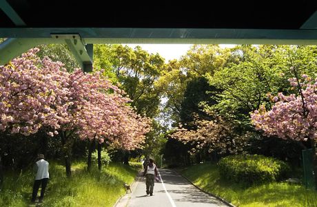 Kitauragawa Ryokuchi Park