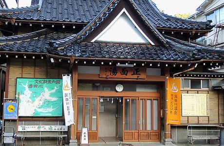 Jijisugi