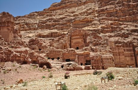 Petra Visitors Center