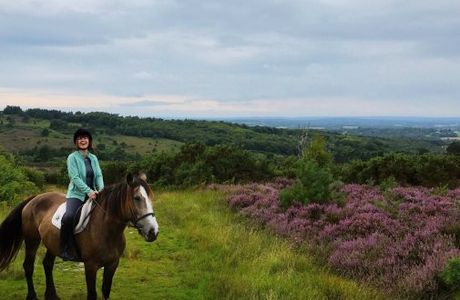 Ashdown Forest Riding Centre