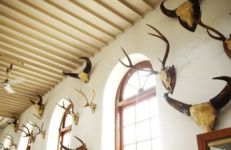 Kasthuri Sreenivasan Trust Art Gallery and Textile Museum